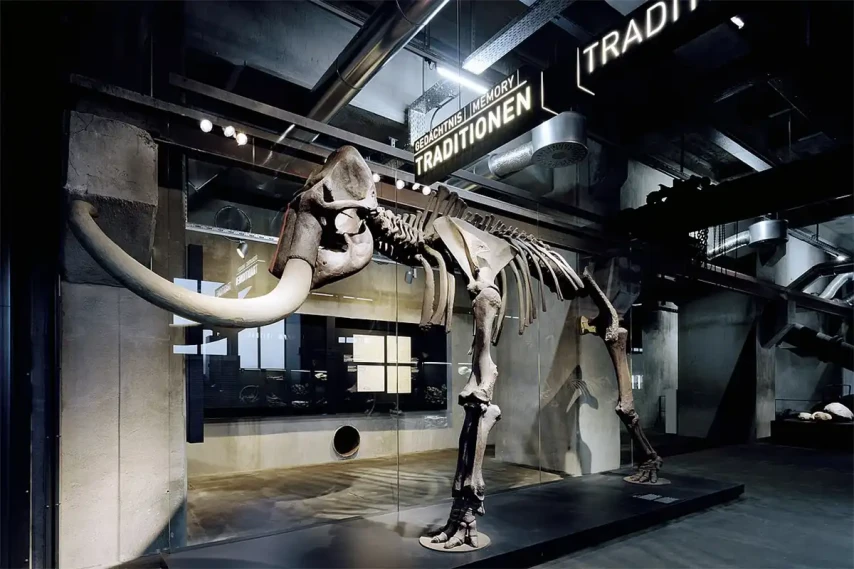 Ruhr Museum: Dauerausstellung Natur- und Kulturgeschichte des Ruhrgebiets