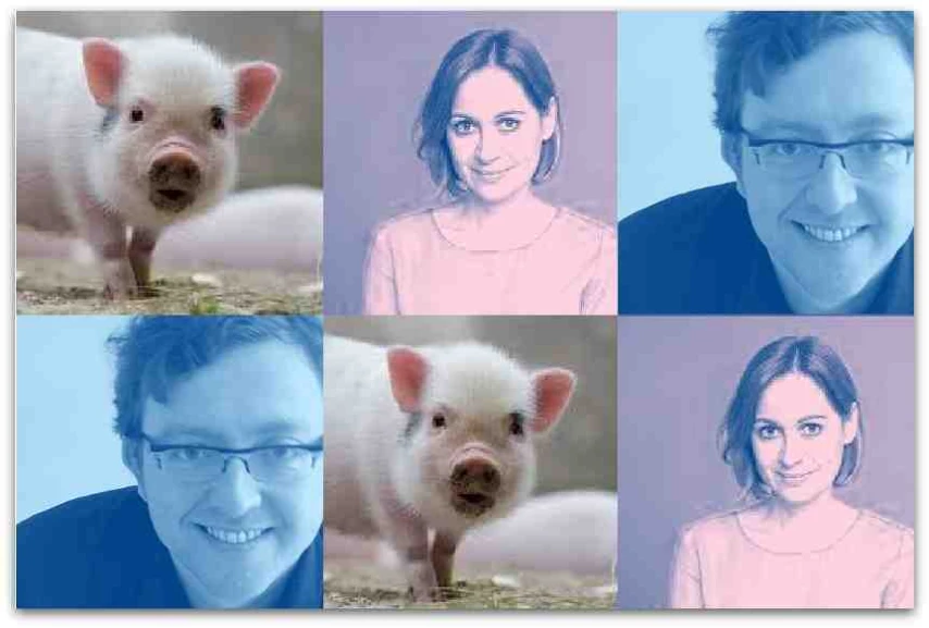 Das Schwein und ich