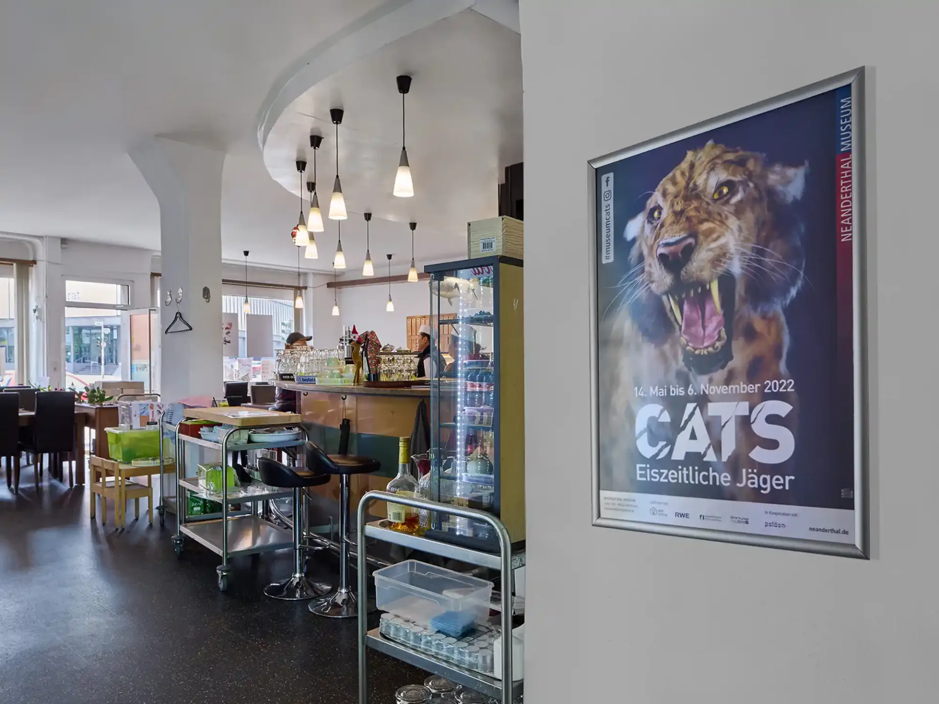 kulturgehtweiter-indoorrahmen-restaurant-cats.webp