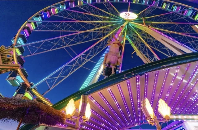 Pützchens Markt 2026 | Bonn