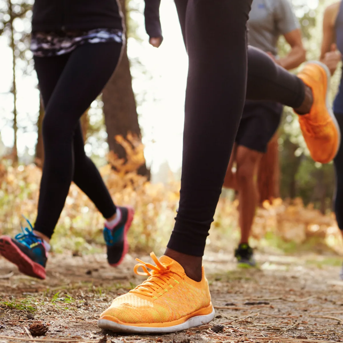 Volksgarten parkrun Düsseldorf