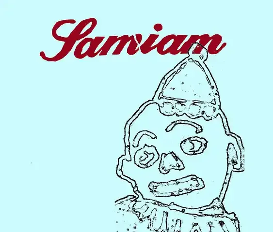 Samiam - EUROPE TOUR 2027 im Münster