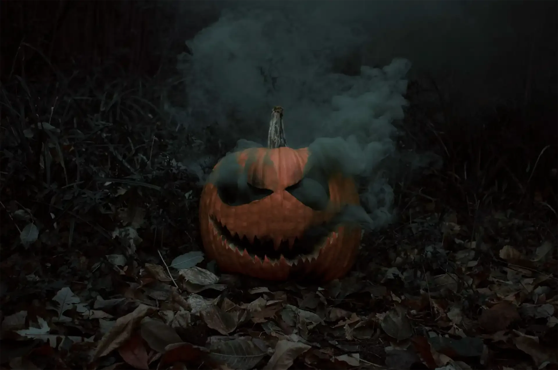 Halloween-Kürbis im Dunkeln – Events und Tipps für Halloween 2026